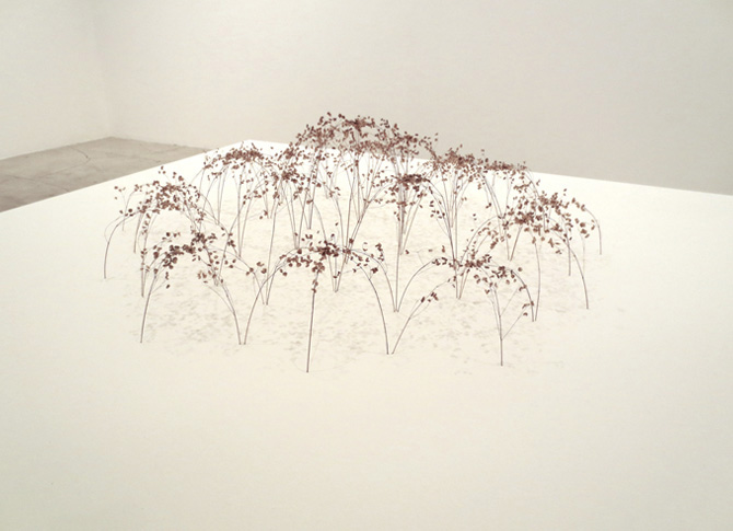 Grosse Bogenform, big arch form, 2013, grass stalks