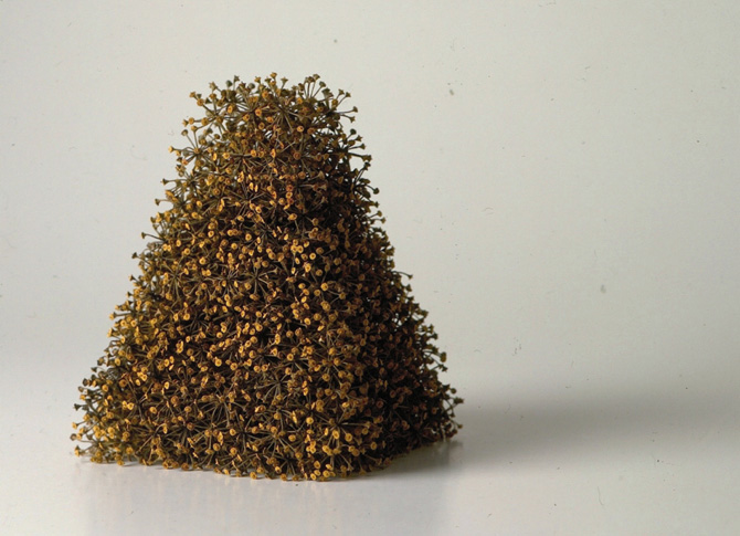 Kleiner Turm, little tower, 1999, ivy seeds