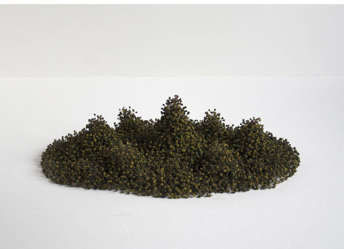 Gebirge, mountains, 2012, ivy seeds