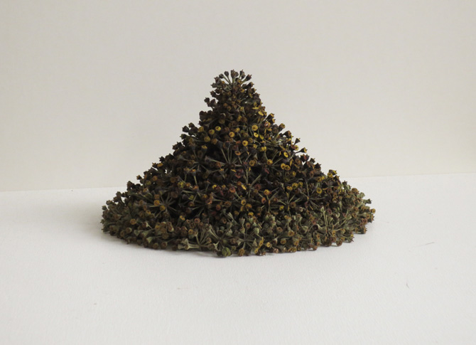 Kleiner Kegel, little cone, 2013, ivy seeds
