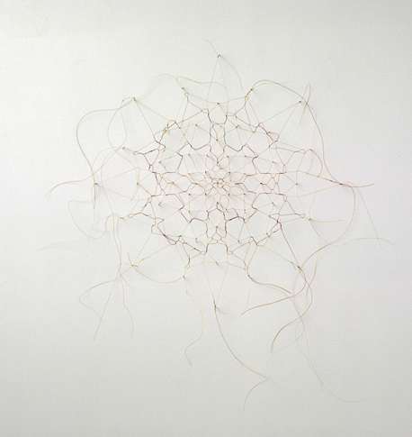 Haararbeit Ragusa, Ragusa hairwork, 2006, horse hair, needles