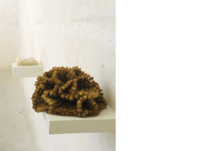 Klettenfächer, burr fan, 2003, burrs