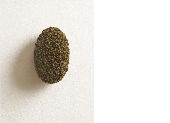 Klettenoval, burr oval, 2009, plant seeds, dog hair